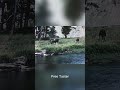 Diva Drift — Free Lo-Fi Ambient Preset Pack