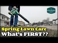 Spring Lawn Care - What To Do FIRST?