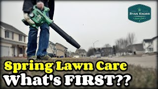 Spring Lawn Care  What To Do FIRST?
