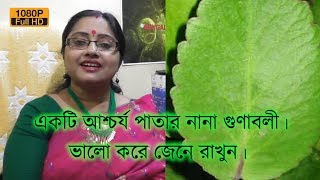 এক আশচরয পতর নন গণবল ভল কর জন রখন Ep 129