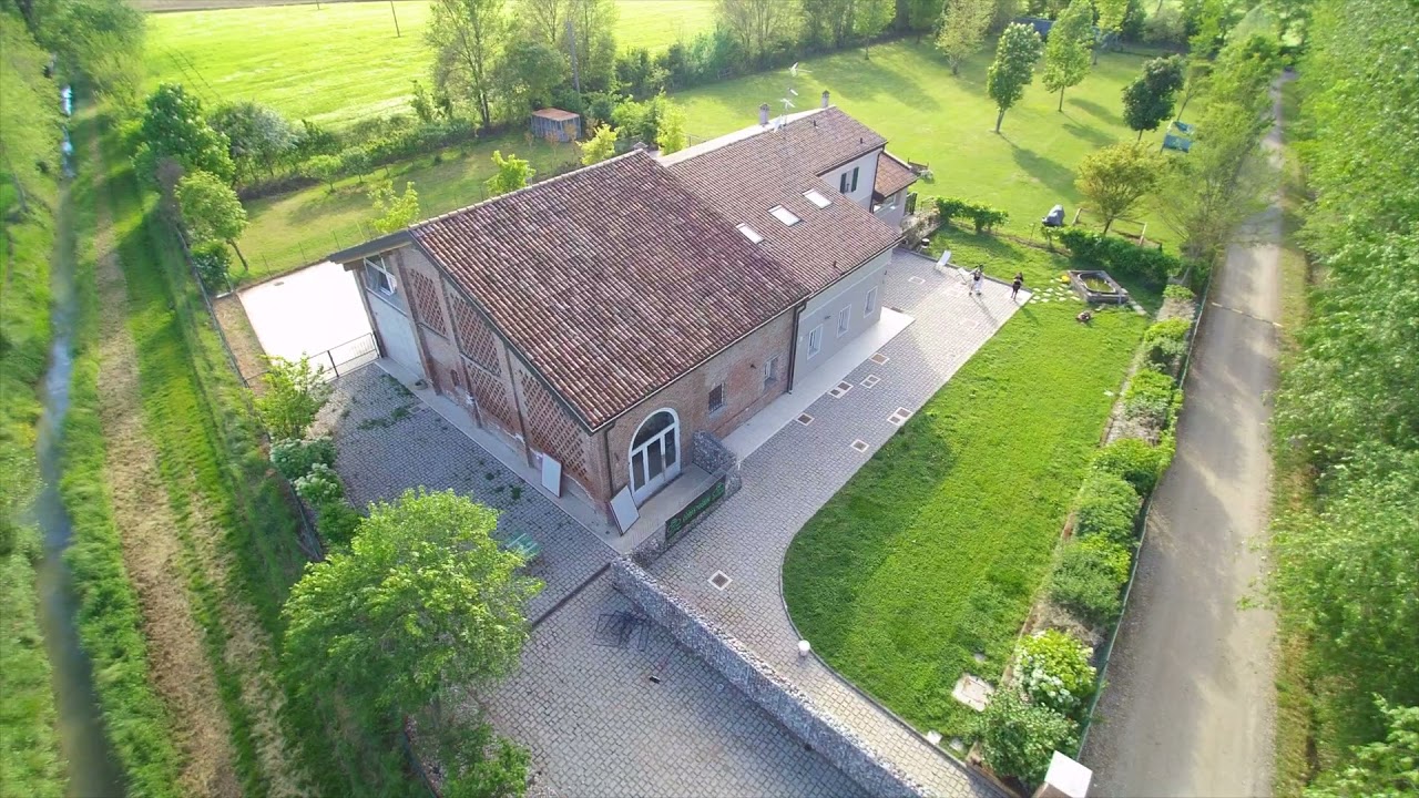 12°)Rubrica "Il mio cane è felice"