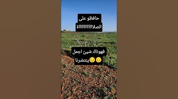 #عبدالرحمن_مسعد #عبدالرحمن_مسعد_تلاوة_جديدة #اكسبلور #القزابري #shortvideo #pubgmobile