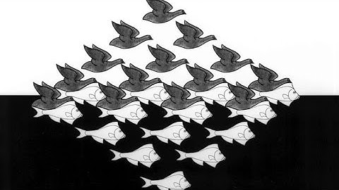 M.C. Escher: Sky and Water 1 - Animation and Cartoon Videos