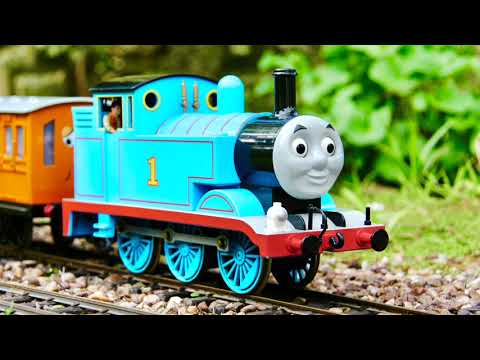 Thomas Sunshine!