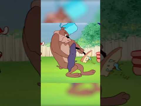 فيديو توم وجيري | الشواء | كارتونيتو