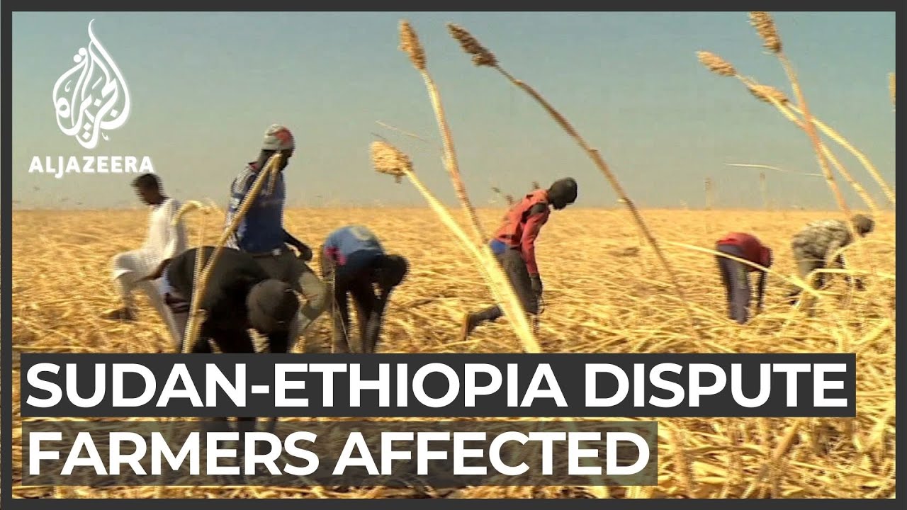 ألحق النزاع على الحدود السودانية مع إثيوبيا ضرراً بالقطاع الزراعي