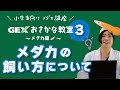 【GEXおさかな教室(メダカ編)】第３回：メダカの飼い方について