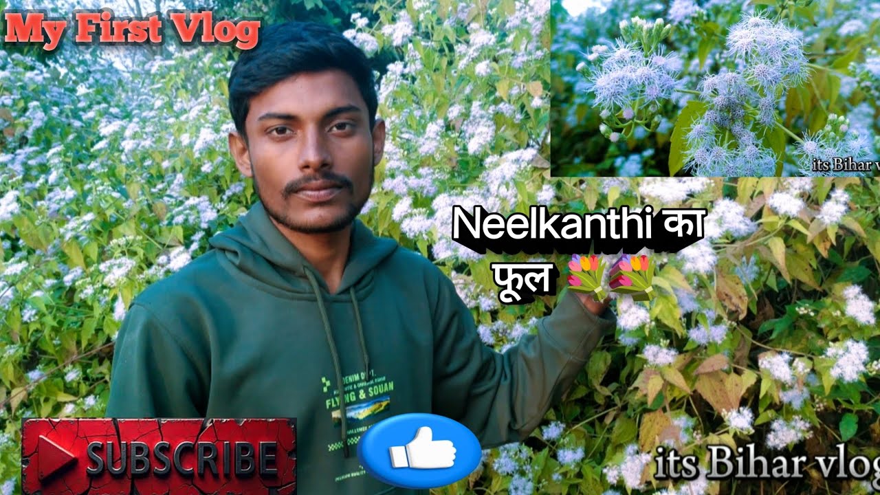 My First Vlog ❤️❤️❤️  