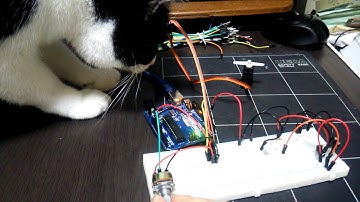 Arduino NANO でサーボモーターを動かしてみました。　【猫注意！】