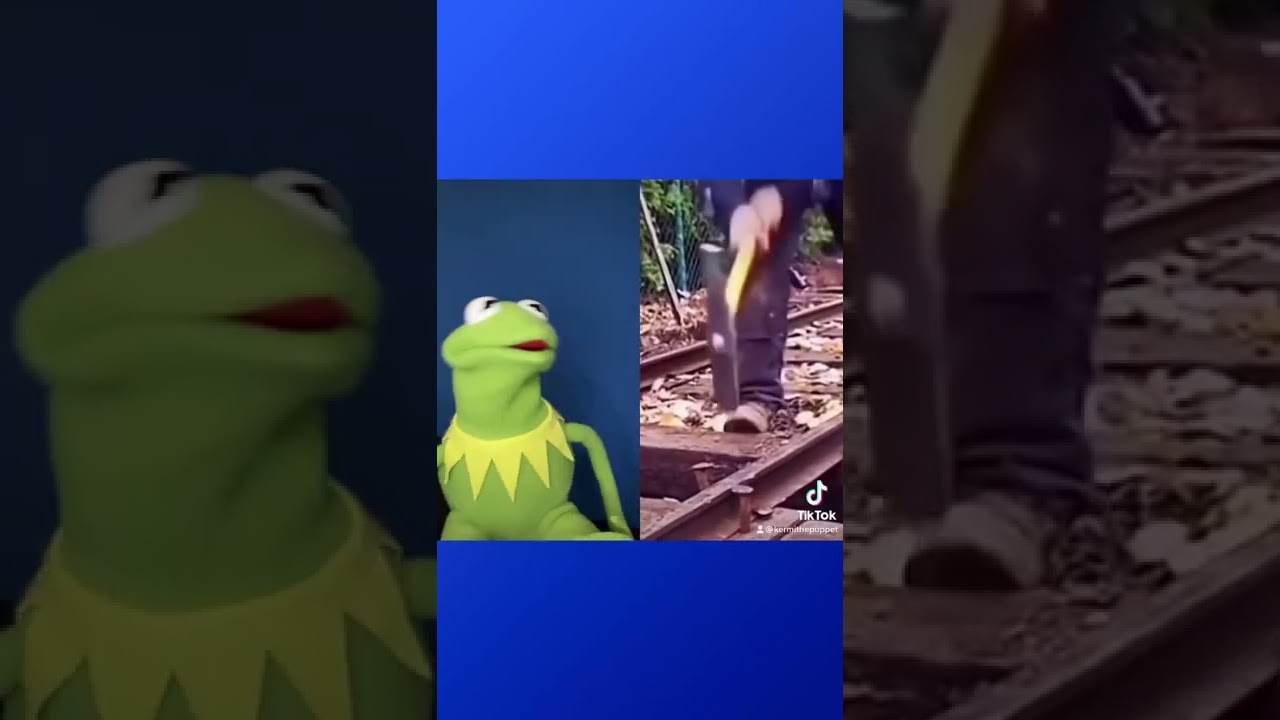 Kermit The Frog Reacts To A Naughty Kermit !! TIKTOK