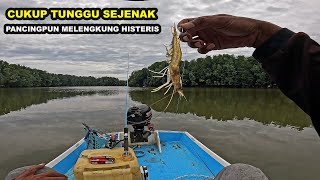 Serbuan Ikan Kakap Besar Menyambar umpan pancing