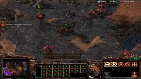 SC2 Beta 1v1 - Ordaehn ZvP #8 2/2