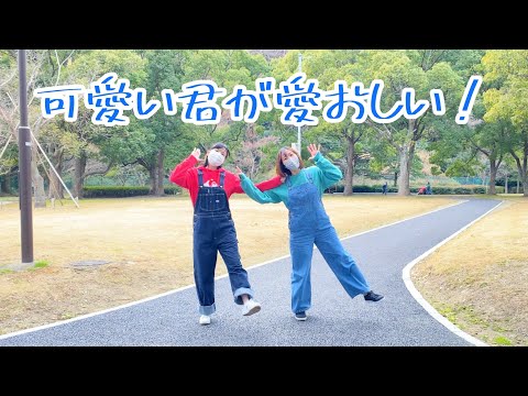 【踊ってみた】可愛い君が愛おしい!【スーパーマリオブラザーズ？】