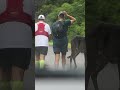 Promo Lavasa Sahayadri Hills Ultra 2024 SHU2024 Promo Lavasa Sahayadri Hills Ultra 2024 SHU2024