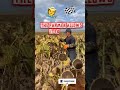 cool farmers tricks#shorts #kisaan #jeevansakshi