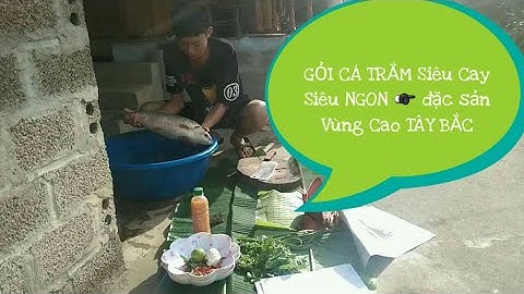 GỎI CÁ TRẮM ★TÂY BẮC TRONG TÔI