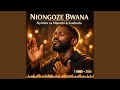 Chini Ya Mbawa Zako 