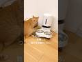 長押し5秒でロック解除からのご飯出すボタンへの見事な肉球スライド #cat #茶トラ #猫のいる暮らし #かわいい猫 #賢い猫 #shorts