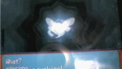 Shiny nincada evolves