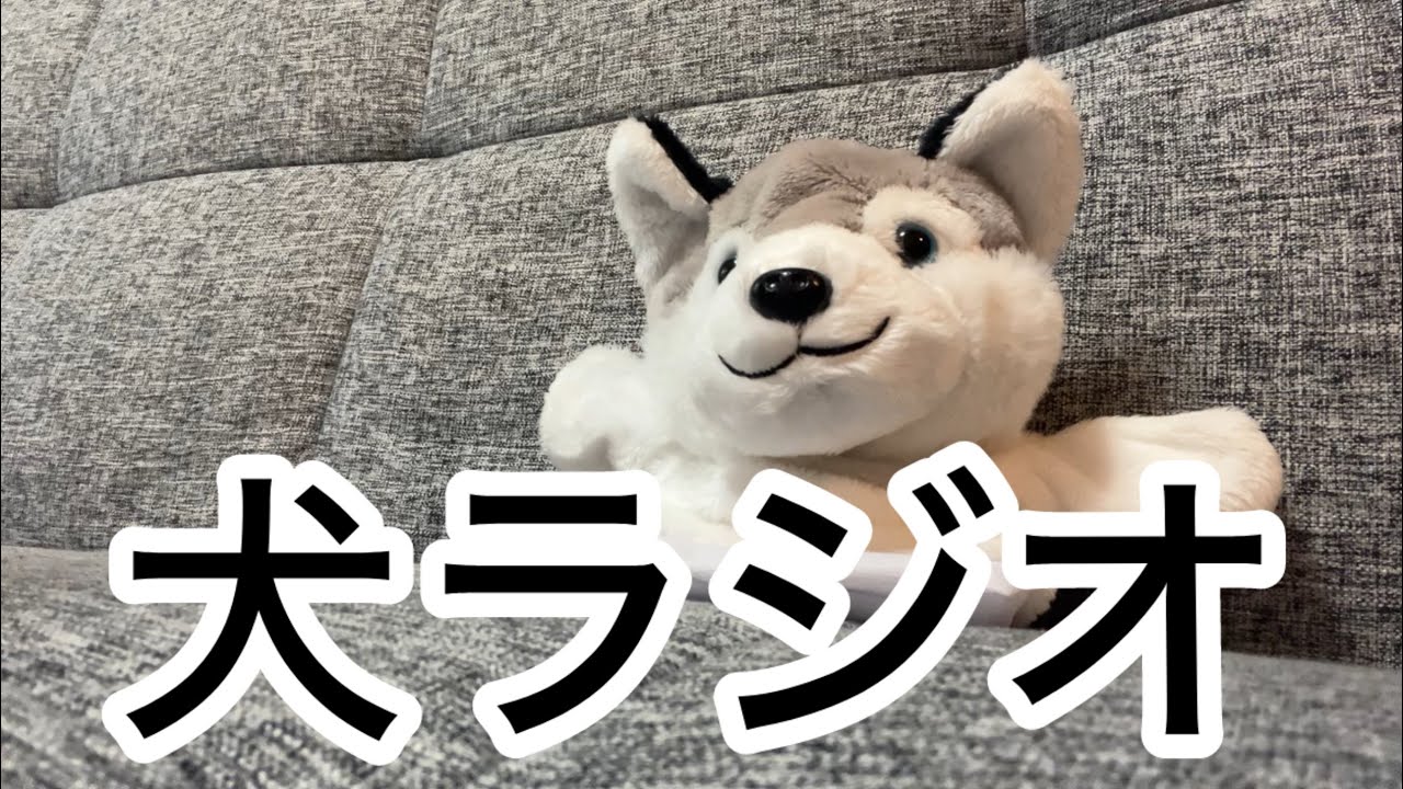 漢検準一級の勉強を始めました【惹女香花】