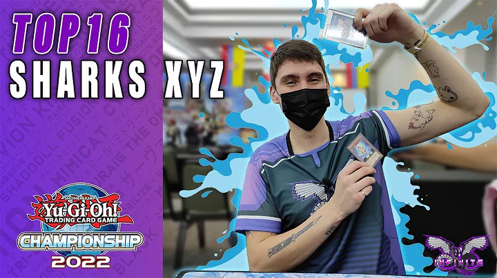 South America Championship TOP 16 | Sharks XYZ | F...