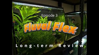 Fluval Flex Aquarium - Long Term Review
