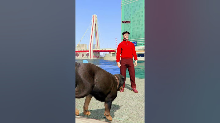 СТАЛ СОБАКОЙ И КОТОМ В ГТА 5 ОНЛАЙН РМРП Криминальная Москва #gta5