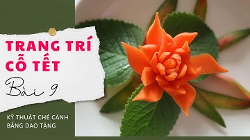 Kỹ thuật chẻ cánh hoa cà rốt bằng dao tri ân tặng trong các buổi trực tiếp | Bài 9 | Mẹ Bảo Hân