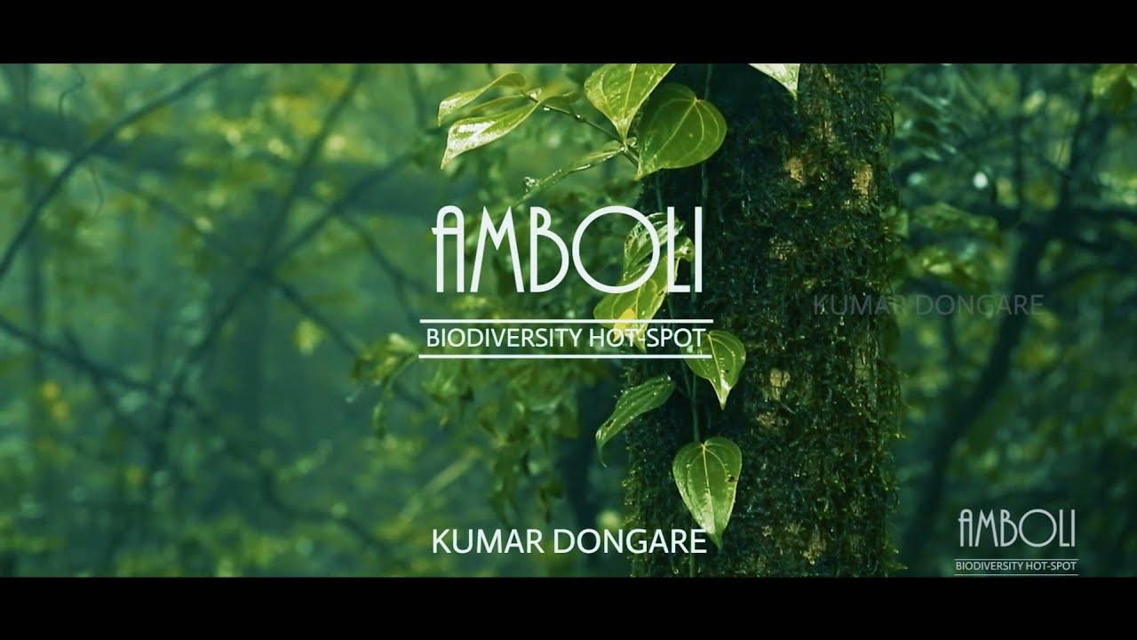 Amboli - BIODIVERSITY HOTSPOT