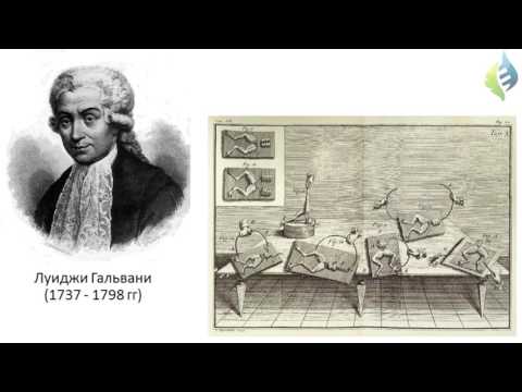 Урок 1 Краткая история когнитивной нейронауки