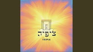 Video thumbnail of "Tzipia - Beit H' Nelech"