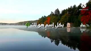 دعاء الهم والحزن ((اللهم انا عبدك ابن عبدك ابن امتك...........))مكررة