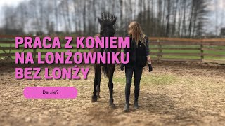 Praca Z Koniem Na Lonżowniku Bez Lonży Stajnia Pasja Zębowo