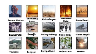 Semua Jenis Bencana Alam 