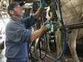 A Day in the Life of a Dairy Farm