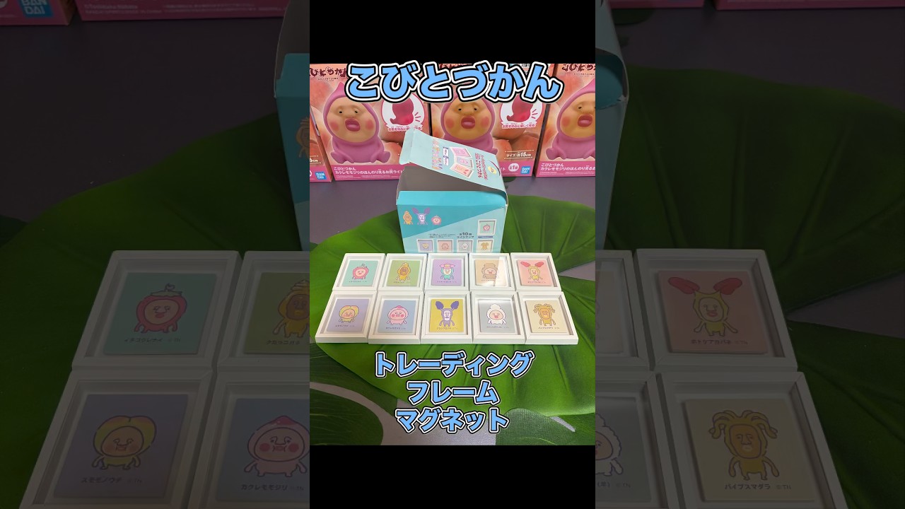こびとづかん【トレーディングフレームマグネット】 - YouTube