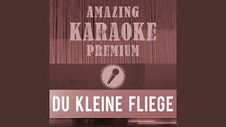 Du kleine Fliege (Xtreme Party Mix) (Premium Karaoke Version With Background Vocals)...