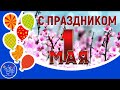 1 МАЯ День Весны и Труда. Красивое видео поздравление с ПЕРВОМАЕМ с праздником Весны и Труда.