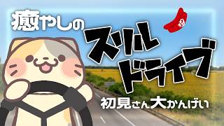 【ユーロトラックシミュレーター2】🚚久々にドライブ行こ！【むぅたま/ VTuber】
