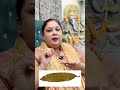       special remedy by tarot pooja verma tarot tarotreading