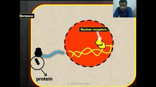 Thyroid gland [Part- 2]