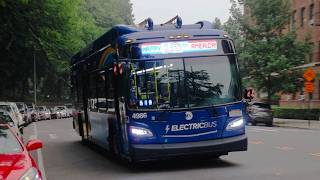 NYCT Bus: 2024 New Flyer XE40 NG #4986 on the Bx7 (w/ Happy 250th America Signage)