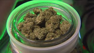 Proposed state budget could result in high increase to marijuana tax in Michigan