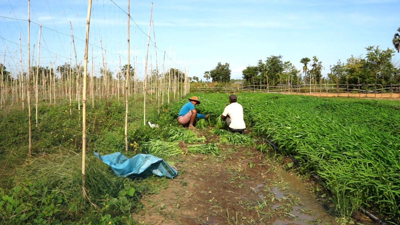 Trailer - Intersections: Justice Ministry with ELCA Partners | ELCA World Hunger