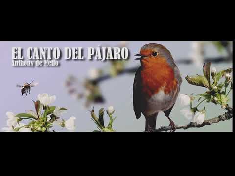 EL CANTO DEL PÁJARO - Anthony De Mello