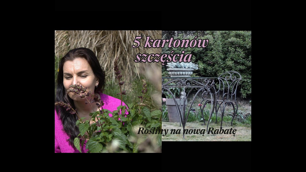 Rośliny na nową rabatę! Spacer po wiosennym ogrodzie