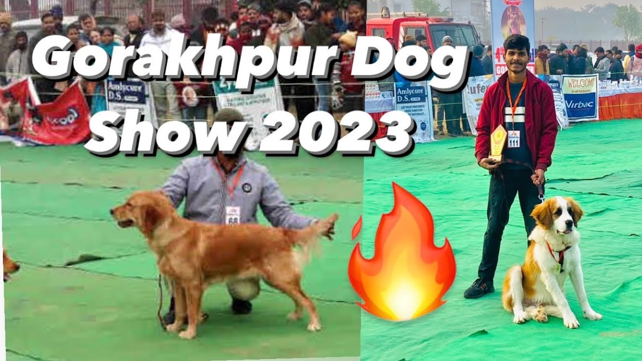 Gorakhpur Dog Show 2023 dogshow doglover gorakhpur YouTube