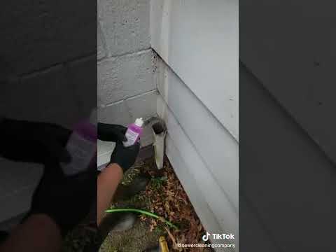Tik Tok Dye Test
