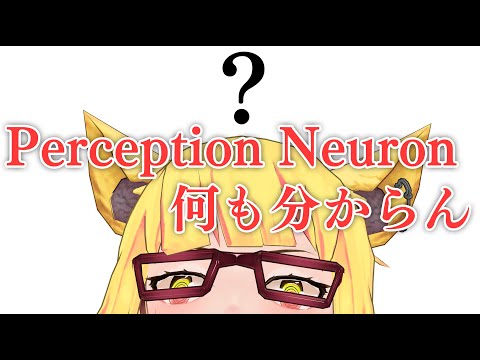 🔴【生放送】Perception Neuronなんも分からん【作業配信】