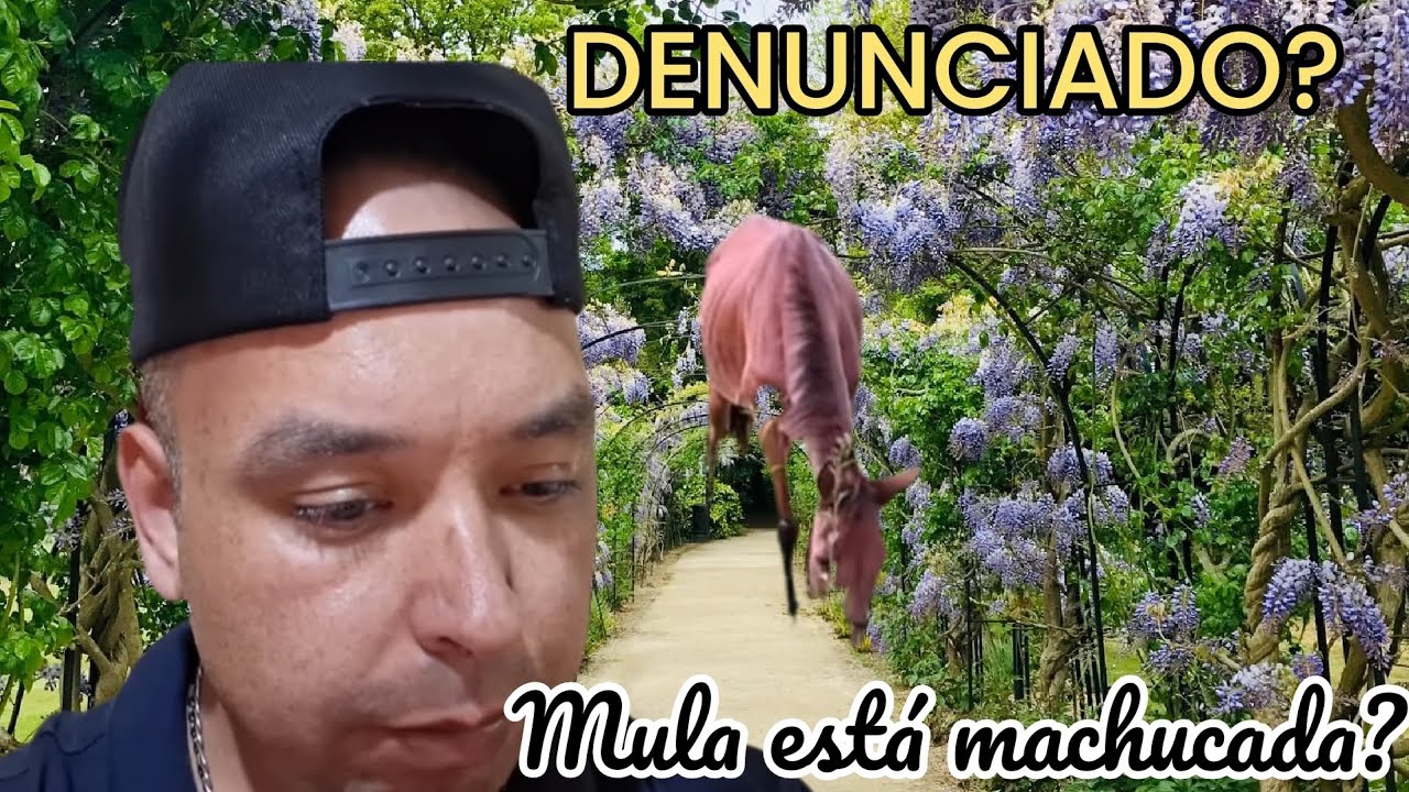 NEGO DO RANCHO/NEGO BÊBADO?